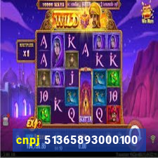 cnpj 51365893000100